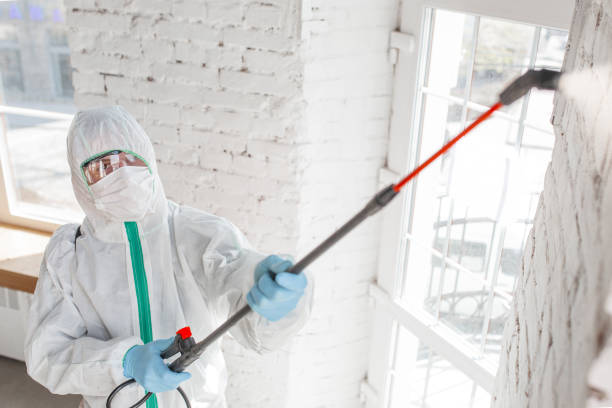Best Post-Remediation Verification Testing  in Rk Forest Village, PA