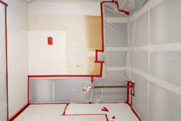 Best Airborne Mold Testing  in Rk Forest Village, PA