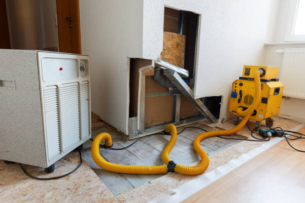 Reliable Park Forest Village, PA Mold Removal Solutions