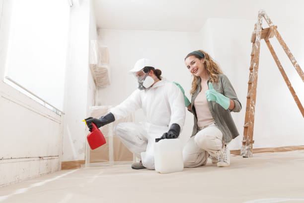 Best Black Mold Removal  in Rk Forest Village, PA